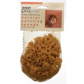 ProPlus Natural Painting Sponge Coarse Texture, Small