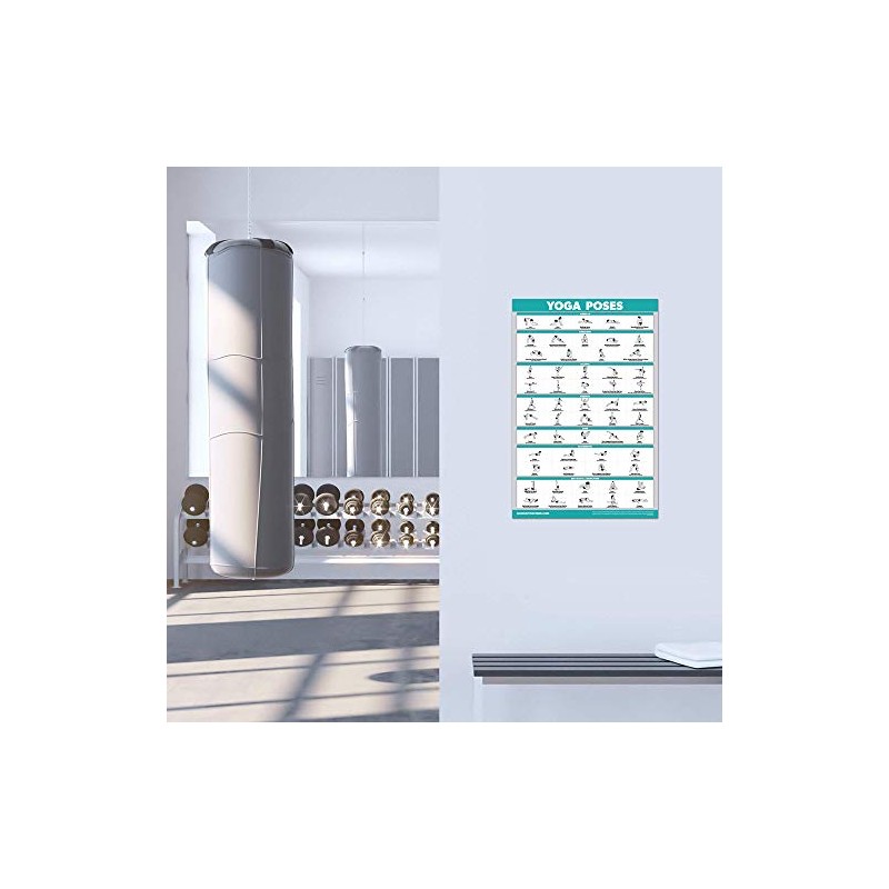 Palace Learning QuickFit Yoga Position Exercise Poster - Yoga Asana