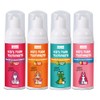 NOHOO Fluoride Free Kids Foam Toothpaste - Fruit Flavors