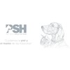 PSH Long Orange, Champú Suave con Colágeno Marino para Perros