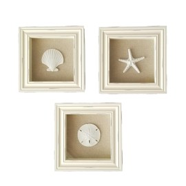 Beachy Set of 3 Shell Shabby Chic Shadow Boxes- Creamy Off White Frame 7" x 7" - Starfish, Sand Dollar and Clam Shell Mounted on Fabric Background by Tumbler Home