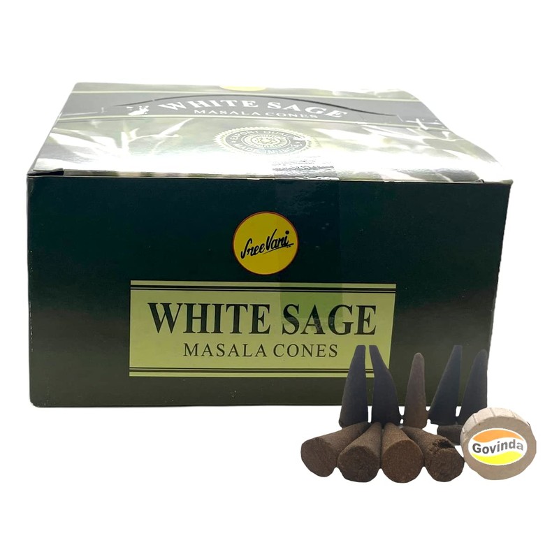 Sreevani Natural Masala Incense Cones and Holder Bundle, 120 Cones