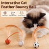 JIGCEN 3 Pack Cat Toy Ballm, Indoor Entertainment Feather Mixed