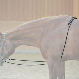 Kavalkade Unisex's Quick Length Adjustment Ho-lungeing Aid, Black, One Size