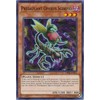 Yu-Gi-Oh! - Predaplant Ophrys Scorpio - OP06-EN016 - Common - Unlimited Edition - OTS Tournament Pack 6