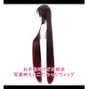 CaseEden WIG5594 Cosplay Wig, Full Wig, Heat Resistant, Long Twin-Tail