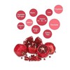 Sanga Collagen Miss Fit Pomegranate Jelly 20g×30pcs