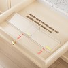 PanPanPal Spice Drawer Organizer, 8 Pack Clear Seasoning Organizer Rack,