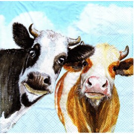 (2) Two Paper Lunch Napkins for Decoupage/Mixe