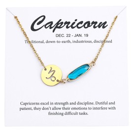 TGOLM 14k Gold Plated Zodiac Birthstone Bracelet, Horoscope Sign Charm Link Bracelet for Women Birthday Gift, Regular, Stainless Steel, no gemstone