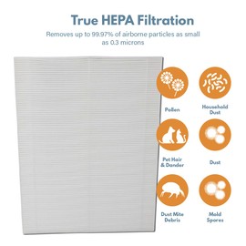 115115 True HEPA Replacement Filter A Combo Compatible with Winix Plasmawave Series Air Purifier Models 6300, P300, 5300, 5500, 5300-2, 6300-2, C535