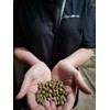Bali Exotic Island Blend Coffee, Hand-picked and Artisan Roasted, Ground