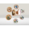 Tapanti store. Costa Rican Fauna Wooden Coasters Set of 6