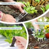 67-Piece Hydroponic Seed Pod Kit for Indoor Gardening