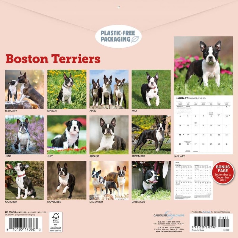 Carousel Calendars, Boston Terriers 2026 Wall Calendar, 12'' X 12'',