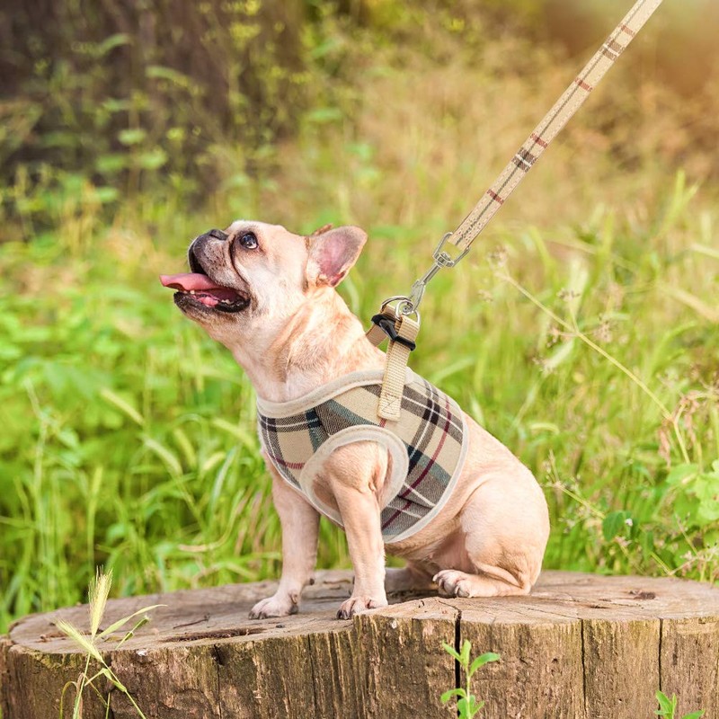 PUPTECK Soft Mesh Small Dog Harness with Leash - Basic