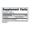 Nutricost Serrapeptase 40,000 SPU, 120 Capsules - Gluten Free, Non-GMO,