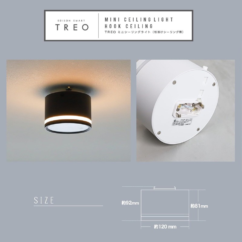 Edison Smart 3-Way Lighting Mini Ceiling Light TREO for Hooked