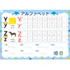 Cross-line Calligraphy Board, Alphabet, Practice Set, Reusable, Writing Order, English,