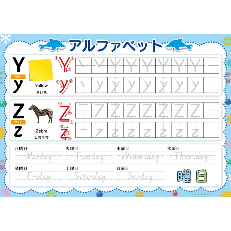 Cross-line Calligraphy Board, Alphabet, Practice Set, Reusable, Writing Order, English,