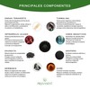 PranaNest Terahertz Protection, Radiation Protection, EMF Protection, EMF Protection, Shungite