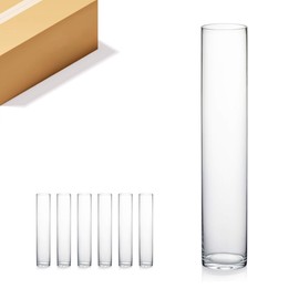 WGV Cylinder Vase Bulk, 3" W x 16" H, Clear Tall Glass Candle Holder Floral Container Planter Terrarium for Wedding Party Flowers Centerpieces and Home Office Decor, 6 Pieces