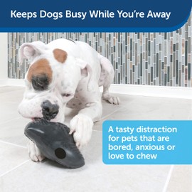 PetSafe Squeak 'n Treat Food Dispensing Chew Toy, Large, Ninja Star