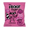 The FROOT Thief Real Fruit Whips 20Ct, 1.06 Lbs