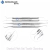 ODM 4 Pc Set Dog Teeth Cleaning Tool Dental Pick