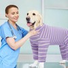 Kuoser Recovery Suit for Large Dogs After Surgery, Long Sleeve