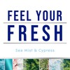 Glade PlugIns Refills Air Freshener, Sea Mist & Cypress, Scented