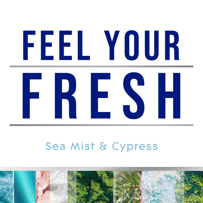 Glade PlugIns Refills Air Freshener, Sea Mist & Cypress, Scented