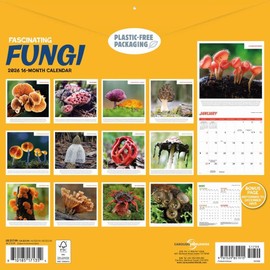 Carousel Calendars, Fascinating Fungi 2026 Wall Calendar, 12'' X 12'', 16-Month Calendar with Stapled Binding