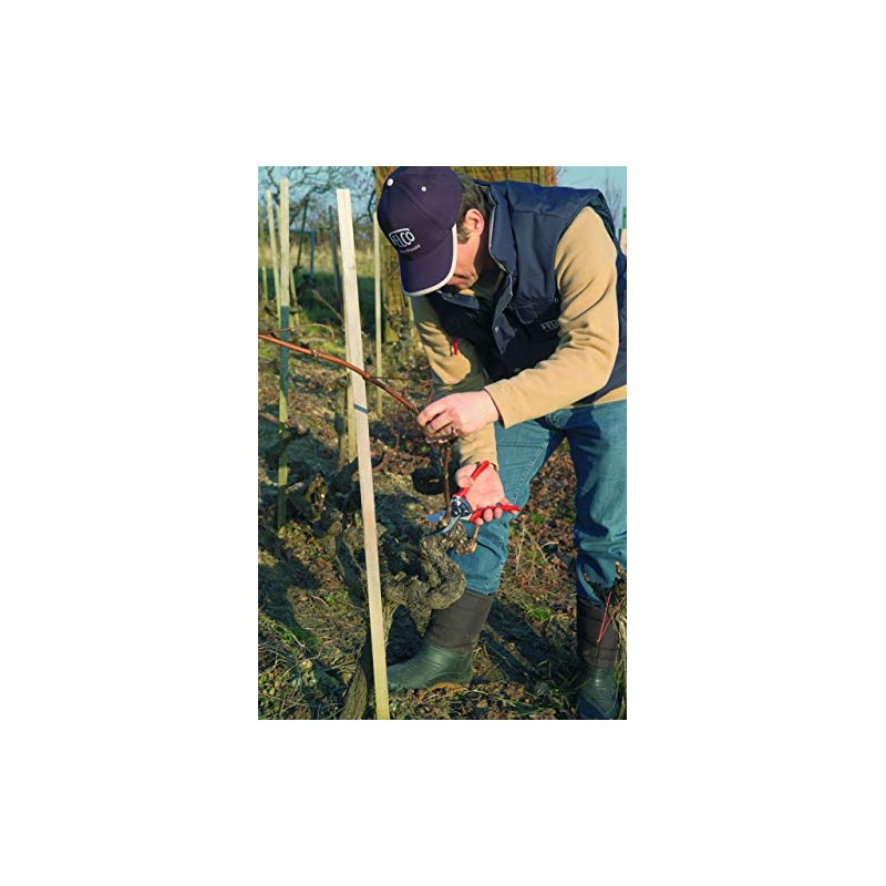 Felco Pruning Shears (F 11) - High Performance Swiss Made