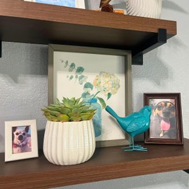 Admired By Nature 4" Ceramic Flower Planter, Ceramic Pot Planter, Indoor Ceramic Bowl, Houseplant Ceramic Pot, Decorative Planter for Indoor Plant Succulent Plant Home Décor, Lightweight, Cream