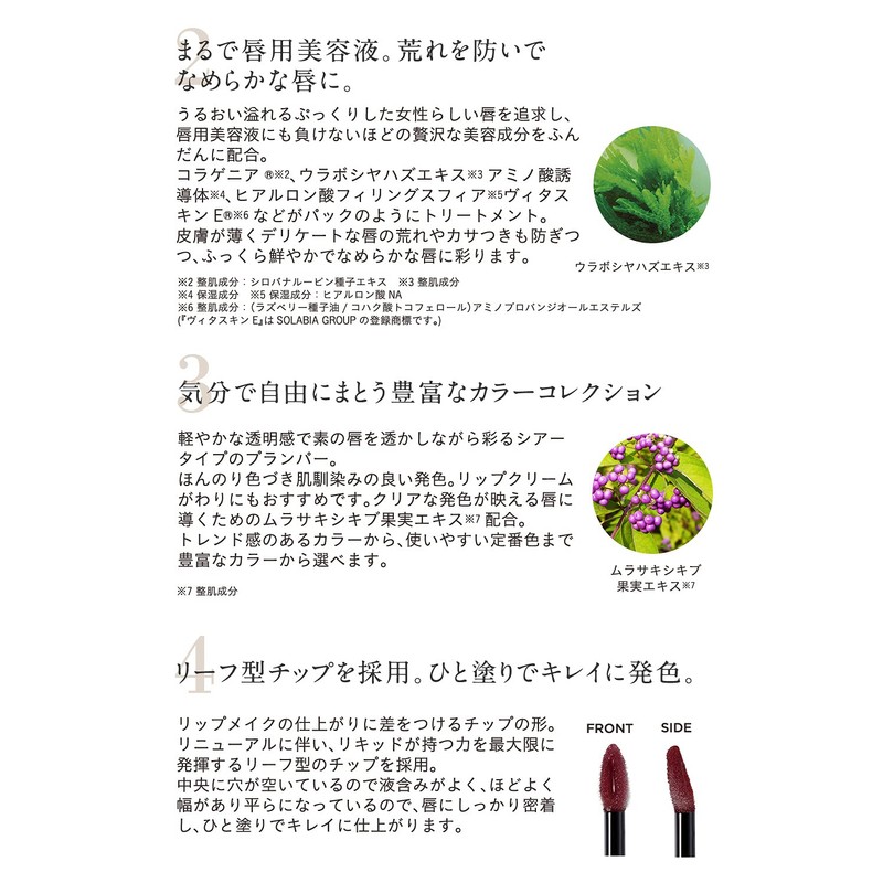 ETVOS Sheer Mineral Lip Plumper 6.7g Transparent Soap Off #Apple