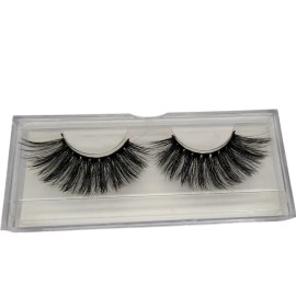 None Bundle of 6 L503 Full and Fluffy False Eyelashes