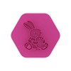 LissieLou Hugging Easter Bunny and Chick Cookie Stamp Easter Celebrations