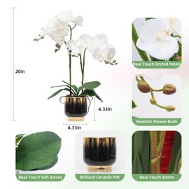 CXGS Orchids Artificial Flowers Real Touch Fake Flowers in Ceramic Pot 20" White Faux Orchid Plant Lifelike Silk Phalaenopsis for Centerpiece Hotel Home Indoor Decor