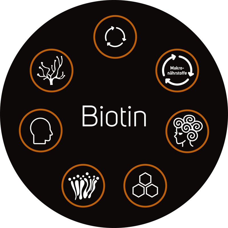 High-Dose Biotin Tablets Containing 10 mg Biotin per Tablet also