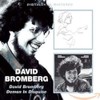 David Bromberg / Demon In Disguise