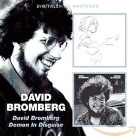 David Bromberg / Demon In Disguise