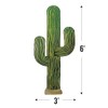Fun Express 6 Foot Jointed Cactus Wall Decor - VBS