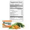 Ampalaya Supplement - 550mg 30 Capsules with Banaba,Turmeric and Bitter