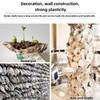6PCS 4"-6" Large Natural Oyster Shells for Home Decor, Ornaments,