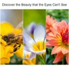 Yangers DSLR Camera Close-up Macro Lens Filter Kit Set (+