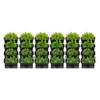 24Pack Vertical Wall Planter, 13 inch Wall Mounted Garden Planters,