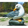 coolboy Real Seagull Figurine Garden Decorations,Seagull Statue Outdoor Decoration,Sea Bird