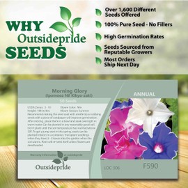 Outsidepride 100 Seeds Annual Ipomoea Nil Morning Glory Kikyo-Zaki Climbing Vine Flower Seeds for Planting