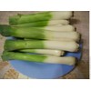 Seeds4planting - Seeds Leek Fall Giant - Organic